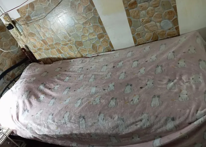 Single Room Hotel